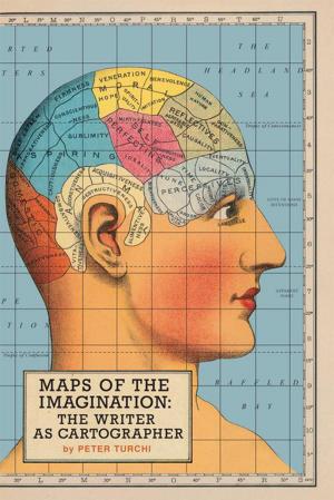 Cover of the book Maps of the Imagination by Alicia Borinsky