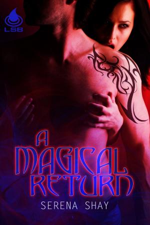Cover of the book A Magical Return by Monette Michaels