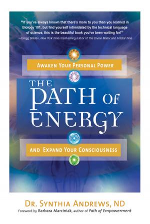 Cover of the book The Path of Energy by Michael C. Thomsett