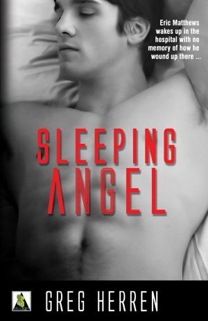 Cover of the book Sleeping Angel by PJ Trebelhorn