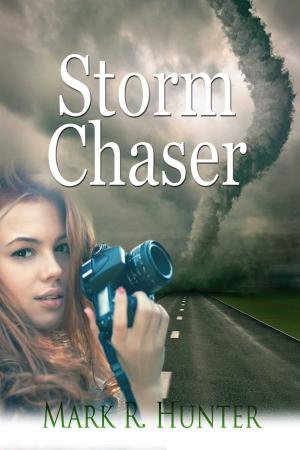 Cover of the book Storm Chaser by Krista Janssen