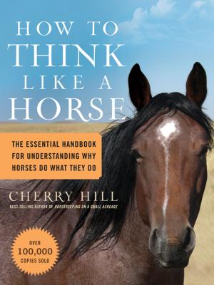 Cover of the book How to Think Like a Horse by Malcolm T. Sanford, Richard E. Bonney