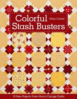 Cover of the book Colorful Stash Busters by Cindy Walter