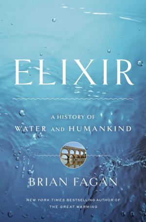 Cover of the book Elixir by Dr Sanja Bogojevic