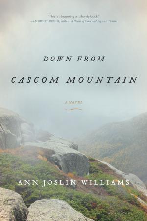 bigCover of the book Down from Cascom Mountain by 