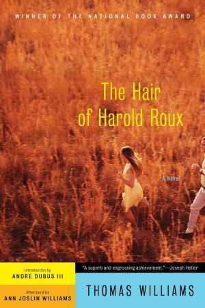 Cover of the book The Hair of Harold Roux by Shirl Anders