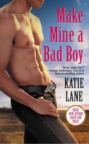 Cover of the book Make Mine a Bad Boy by David Brandt, Robert J. Kriegel