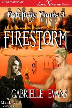 Cover of the book Firestorm by Ellen Ginsberg