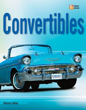 Cover of the book Convertibles by Randy Leffingwell