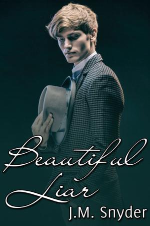 Cover of the book Beautiful Liar by Nanisi Barrett D'Arnuk