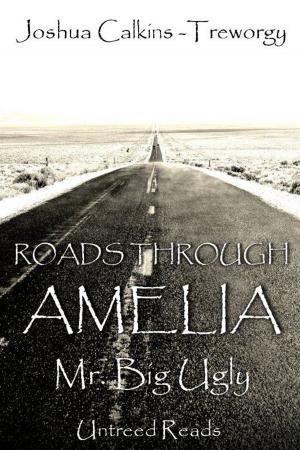 Book cover of Mr. Big Ugly: Roads Through Amelia #4