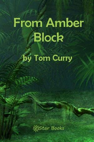 Cover of the book From Amber Block by Clark Ashton Smith