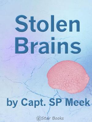 Cover of the book Stolen Brains by Alexis Aubenque