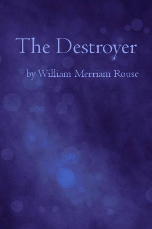 Cover of the book The Destroyer by Pete Molina