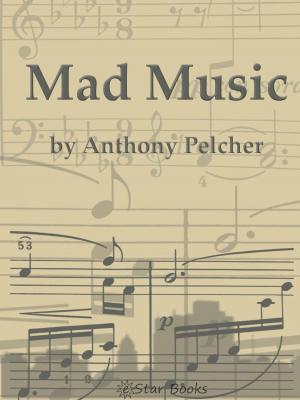 Cover of the book Mad Music by John York Cabot