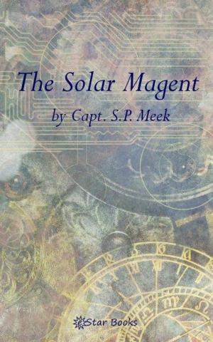 Cover of the book The Solar Magnet by Anthony Pelcher