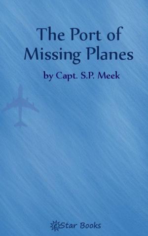 Book cover of The Port of Missing Planes
