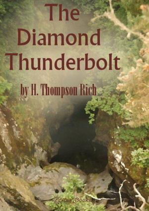 Book cover of The Diamond Thunderbolt