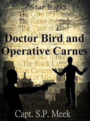 Cover of the book Dr. Bird and Operative Carnes by William P. McGivern