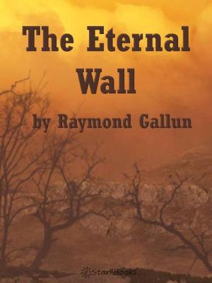 bigCover of the book Eternal Wall by 