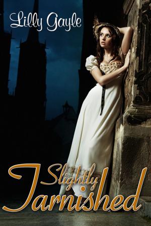 Cover of the book Slightly Tarnished by julia talmadge, Cynthia Herndon, photographer