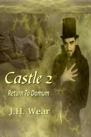 Cover of the book Castle 2: The Return To Domum by Karen Dean Benson
