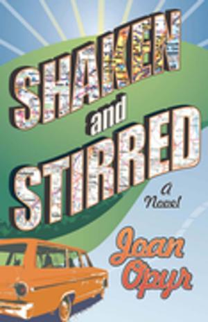 Cover of the book Shaken and Stirred by Rachel Spangler