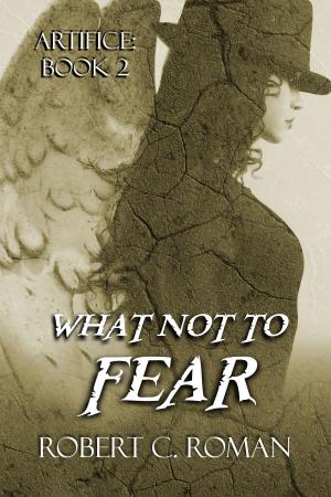 Cover of the book What Not to Fear by Heather Long