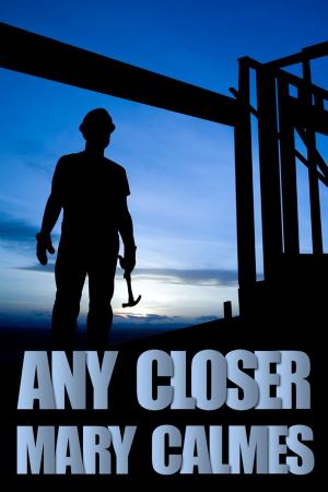 Cover of the book Any Closer by Jerry Sacher