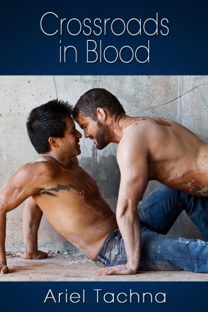 Cover of the book Crossroads in Blood by Mickie B. Ashling