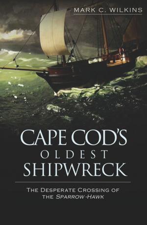 Book cover of Cape Cod's Oldest Shipwreck