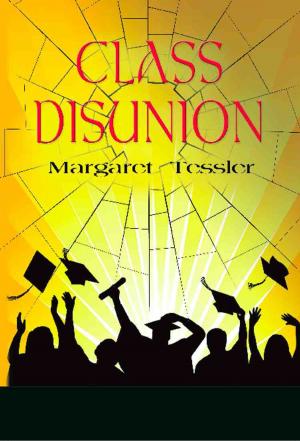 Cover of the book CLASS DISUNION by Patricia Stinson