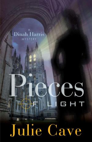 Cover of the book Pieces of Light by Israel Wayne