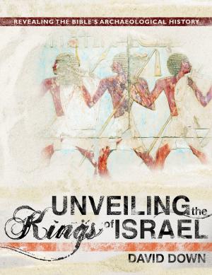 Book cover of Unveiling the Kings of Israel