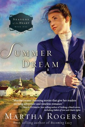Cover of the book Summer Dream by Jentezen Franklin