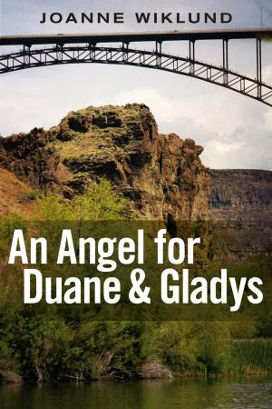 Book cover of An Angel For Duane & Gladys