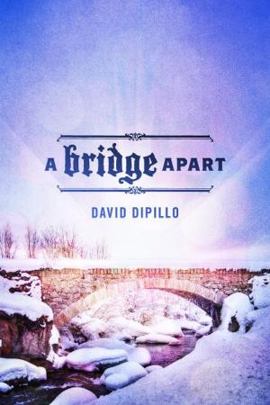 Cover of the book A Bridge Apart by Sonya Nemec