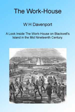 Cover of the book The Work-House by James Parton