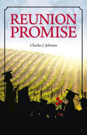 Cover of the book Reunion Promise by B Buena