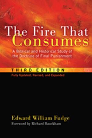 Cover of the book The Fire That Consumes by Justine Lévy