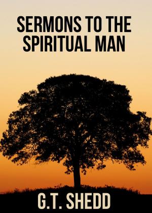 Cover of the book Sermons to the Spiritual Man by Christine Hoover
