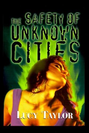Book cover of The Safety of Unknown Cities