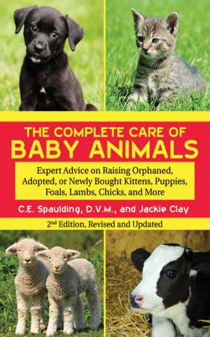 Cover of the book The Complete Care of Baby Animals by Gregg Stebben