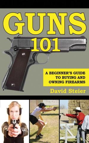 Cover of the book Guns 101 by Janne Jansen