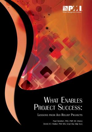 Cover of the book What Enables Project Success by Liselore Havermans, Chantal Savelsbergh