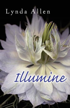 bigCover of the book Illumine by 