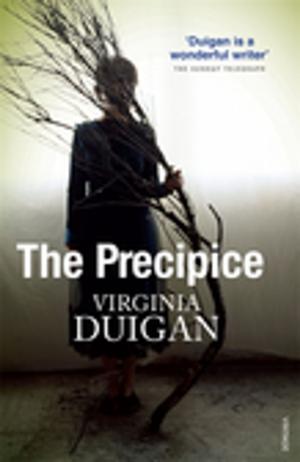 Book cover of The Precipice