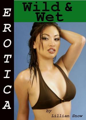 Cover of the book Erotica: Wild & Wet, Tales of Sex by Brandi Bonx