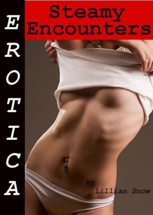 Cover of the book Erotica: Steamy Encounters, Tales of Sex by Sasha Moans