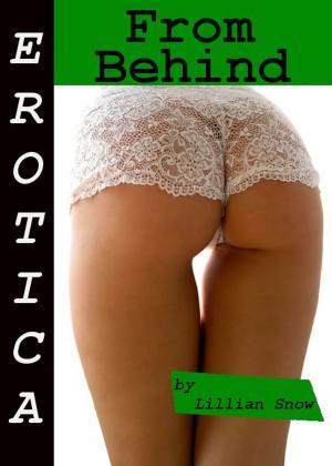 Book cover of Erotica: From Behind, Story Taster